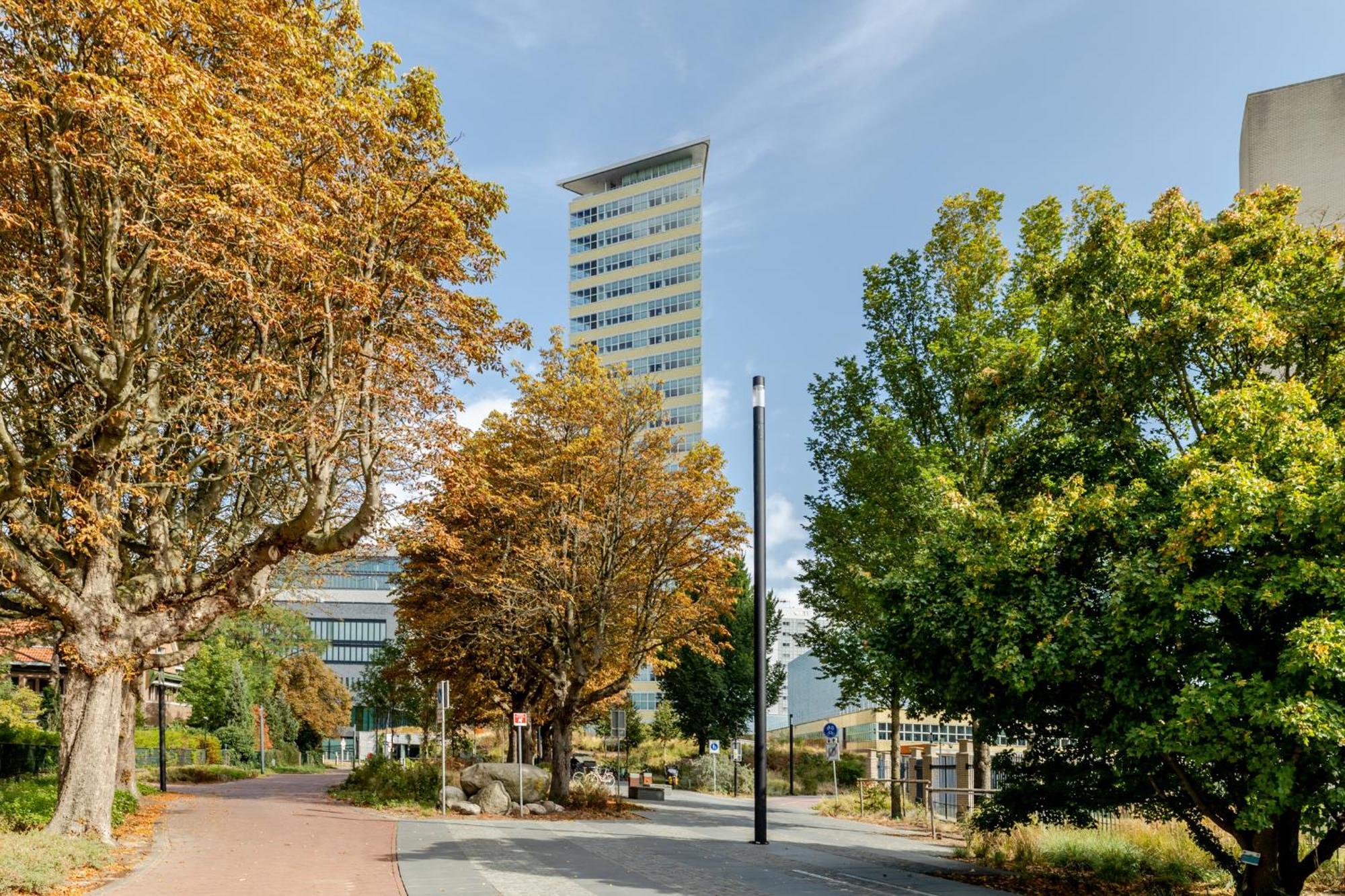 Bizstay Toren Oud Den Haag